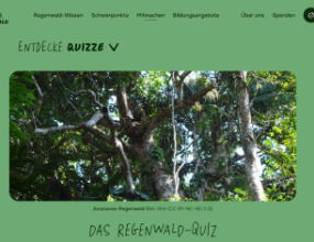 Regenwaldquiz entdecken auf Abenteuer Regenwald Seitenvorschau abenteuer-regenwald.de