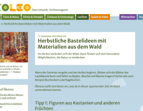 ÖkoLeo: Herbstliche Bastelideen entdecken Seitenvorschau oekoleo.de