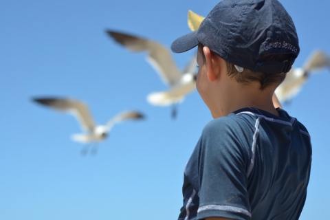 Ein Junge mit Cappy schaut in den blauen Himmel an dem Möwen fliegen